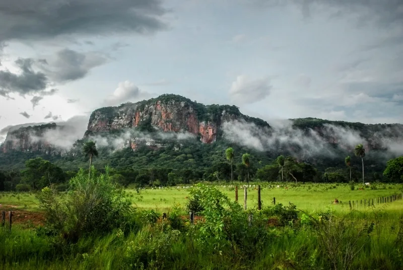 Morro Do Paxixi Serra De Maracaju